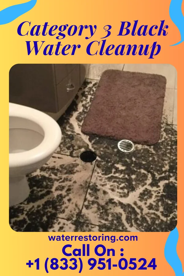 Category 3 Black Water Cleanup in Champion Heights, OH