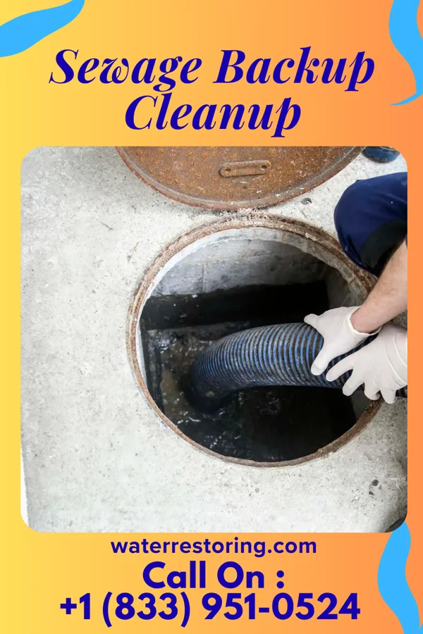 Sewage Backup Cleanup in Champion Heights, OH