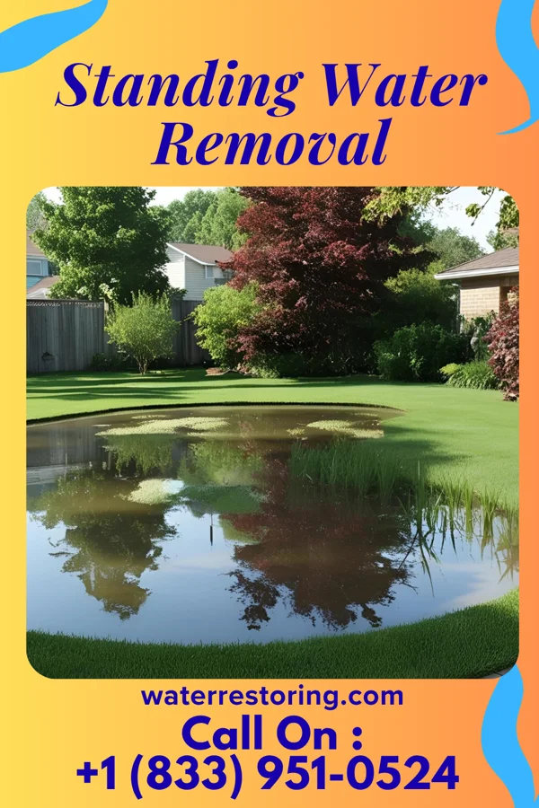 Standing Water Removal in Champion Heights, OH